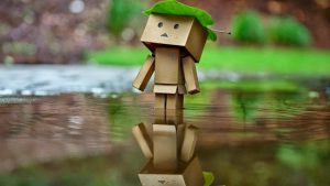 Danbo
