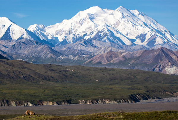 denali national park - write and add your names on photo of usa Denali National Park