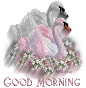 Gif good morning happy to you good morning - Gif good morning happy to you good morning