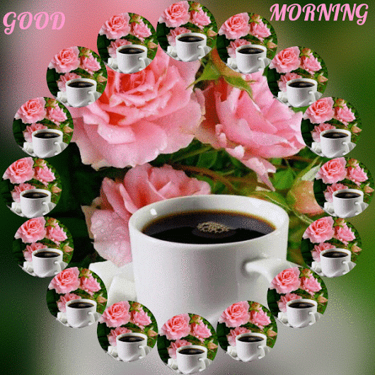 Gifs good morning wishes to you gif - Gifs good morning wishes to you gif