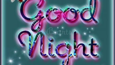 Photo of A good night photo