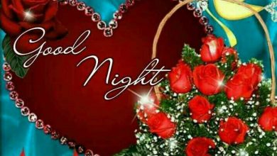 Photo of Best good night love quotes photo