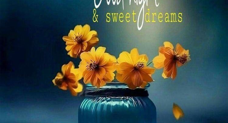 Photo of Best good night wishes quotes photo