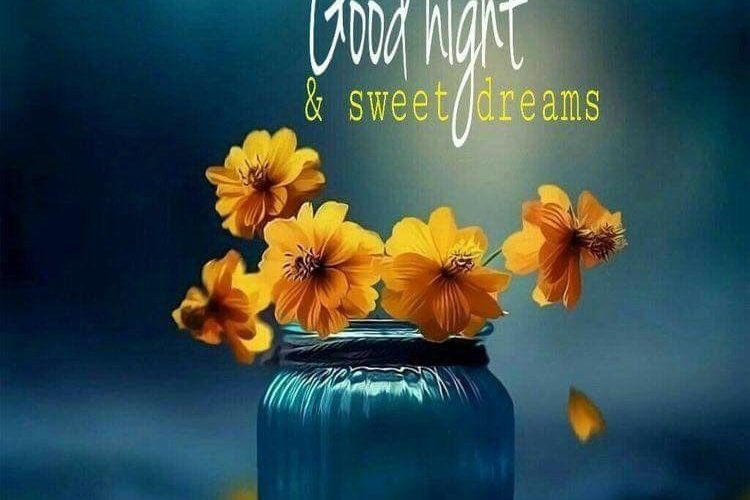 Best good night wishes quotes photo 750x500 - Best good night wishes quotes photo