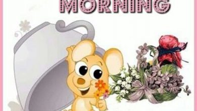 Photo of Cool good morning images good morning image