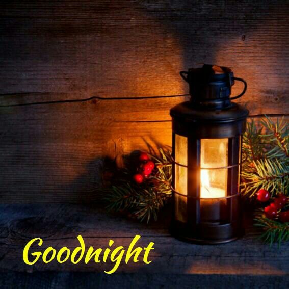 Cute good night images photo - Cute good night images photo
