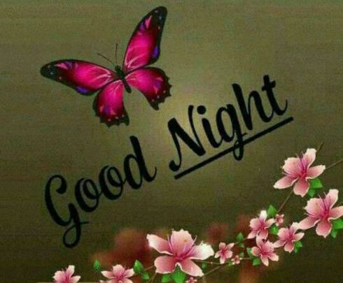Photo of Cute good night messages photo