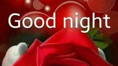 Photo of Cute goodnight texts for her photo