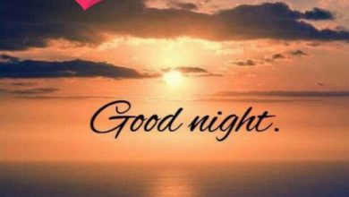 Photo of Good evening and good night photo