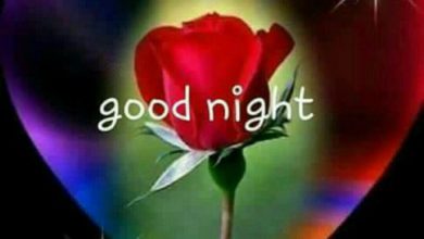 Photo of Good evening and goodnight quotes photo