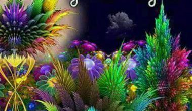 Photo of Good evening good afternoon photo