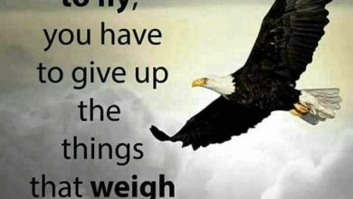 Photo of Good friday day good morning image
