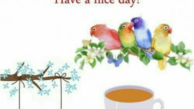 Photo of Good m9rning good morning image