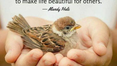 Photo of Good mornig good morning image