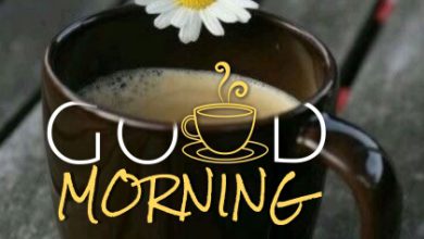 Photo of Good morning flowers good morning image