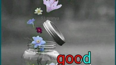 Photo of Good morning good day good morning image
