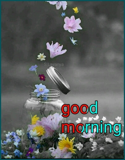Good morning good day good morning image - Good morning good day good morning image