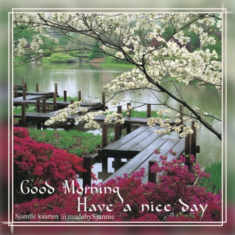 Good morning greetings good morning image - Good morning greetings good morning image