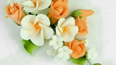Photo of Good morning n good morning image