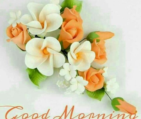 Photo of Good morning n good morning image
