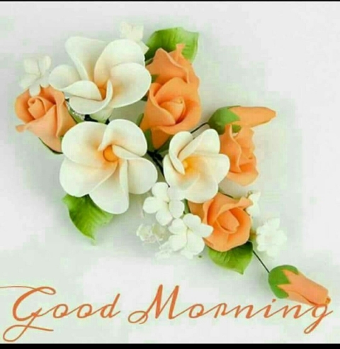 Good morning n good morning image - Good morning n good morning image