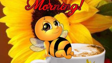 Photo of Good morning pic good morning image