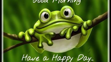 Photo of Good morning special lady good morning image