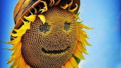 Photo of Good morning sunday good morning image