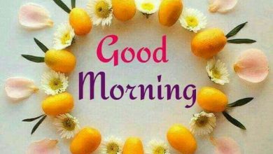 Photo of Good morning to the good morning image