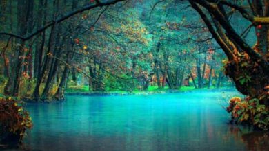 Photo of Good morning wishes good morning image