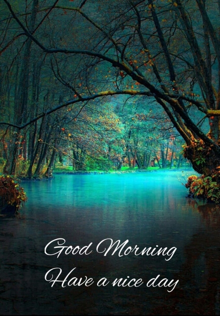 Good morning wishes good morning image - Good morning wishes good morning image