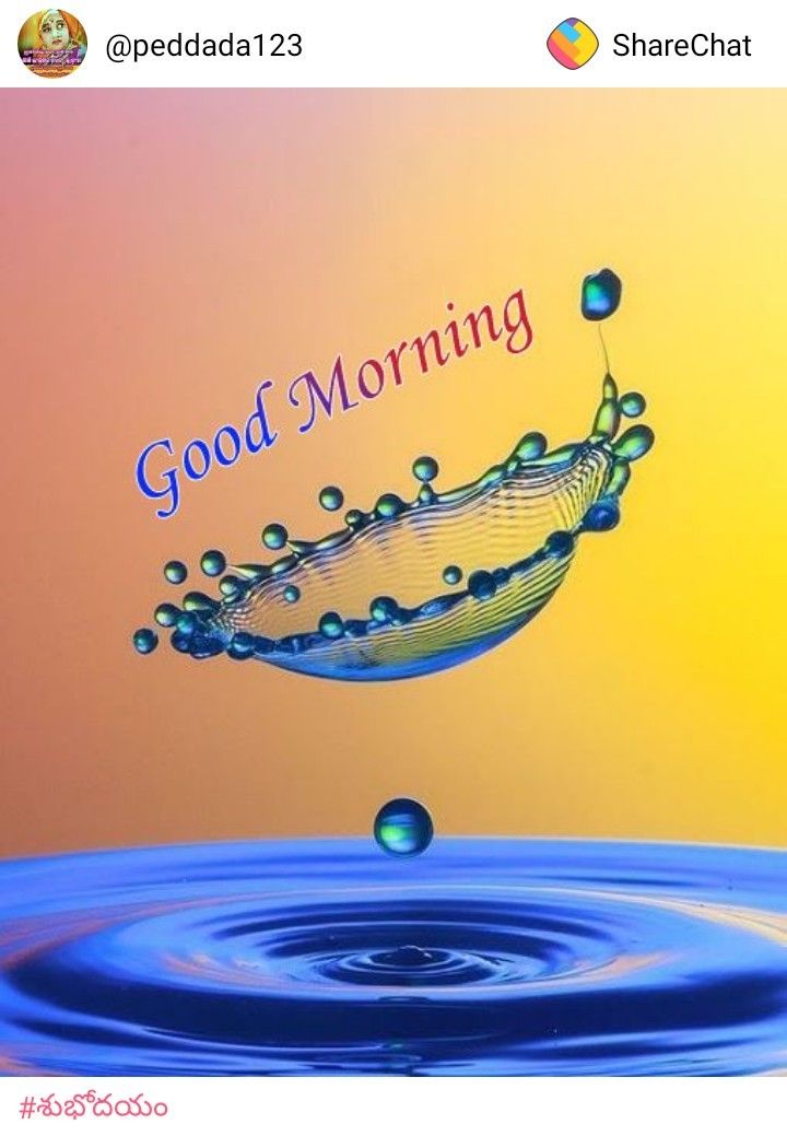 Good morning wishes images good morning image - Good morning wishes images good morning image