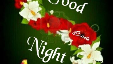 Photo of Good night children’s book photo