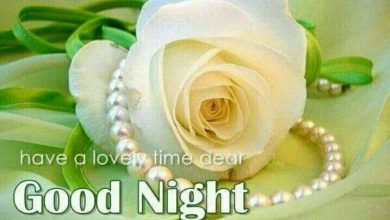 Photo of Good night crazy photo