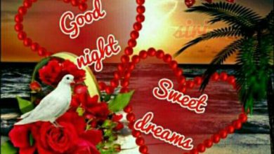 Photo of Good night facebook images photo