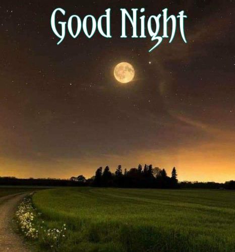 Good night messages for friends photo 466x500 - Good night messages for friends photo