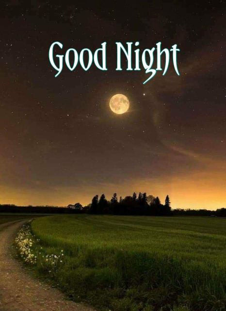 Good night messages for friends photo – gifaya