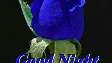 Good night sms for friends photo 390x220 - Good night sms for friends photo