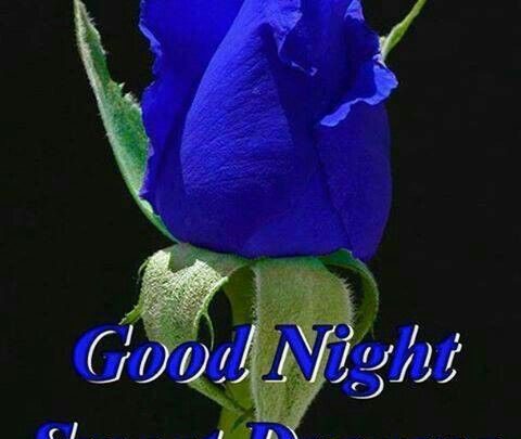 Photo of Good night sms for friends photo