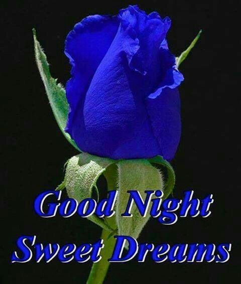 Good night sms for friends photo - Good night sms for friends photo