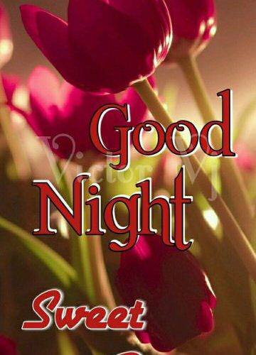 Good night sms for girlfriend photo 360x500 - Good night sms for girlfriend photo