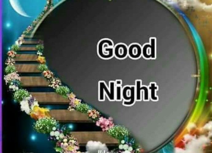 Good night special image photo 691x500 - Good night special image photo