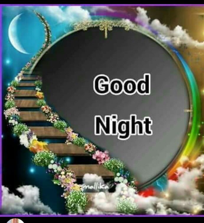 Good night special image photo - Good night special image photo