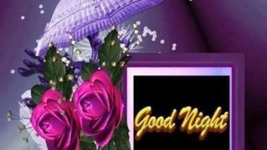Good night sweet dreams messages photo 390x220 - Good night sweet dreams messages photo