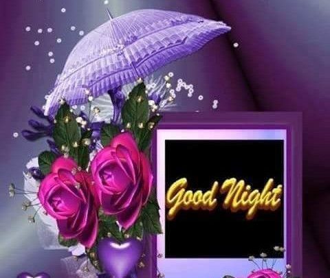 Photo of Good night sweet dreams messages photo