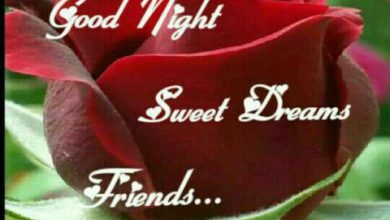 Good night wishes for friends photo 390x220 - Good night wishes for friends photo