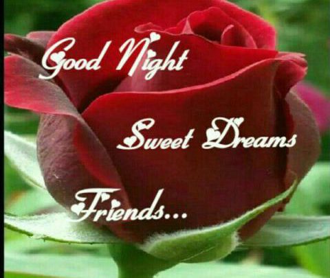 Photo of Good night wishes for friends photo