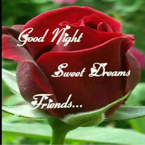 Good night wishes for friends photo - Good night wishes for friends photo
