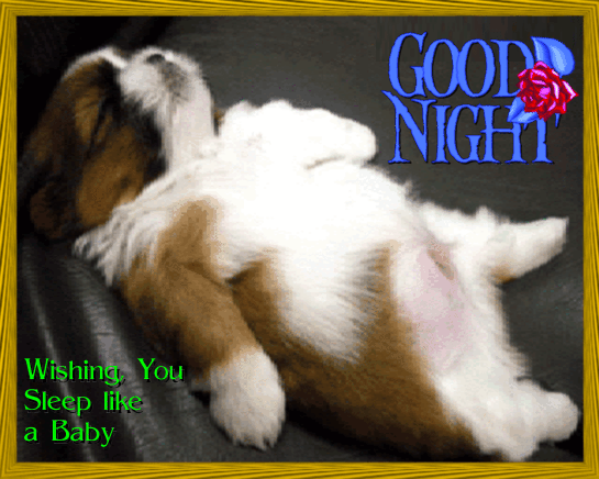 Good night wishes gif photo - Good night wishes gif photo