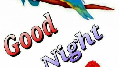 Photo of Good night wishes pictures photo